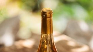 Weinprobe und lokale Vorspeisen bei Vinarija Balić