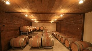 Degustazione di vini e tour a Francois Baur
