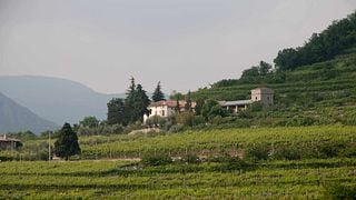Degustazione e tour di vini a Corte Fornaledo