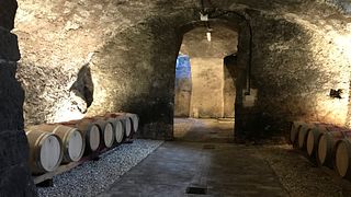 Trentino-Alto Adige Wine & Vineyard Adventure at Palazzo Lodron