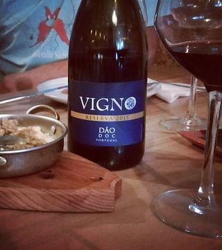 Degustazione di vini e visita al Freire Lobo Unipessoal