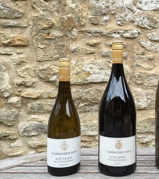 Weingut Ilmbacher Hof