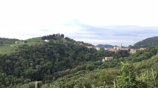 Crodi Winery