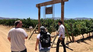 Cheese & Wine Route Tour – Valle de Ojos Negros