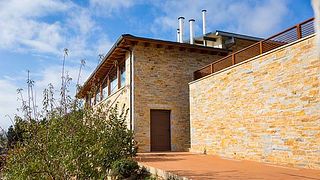 Bodegas Y Viñedos Gancedo