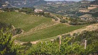 Besichtigung und Weinprobe in der Azienda Agricola Fiorentini Vini