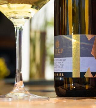 Cata de vinos y visita guiada en Weingut Reef
