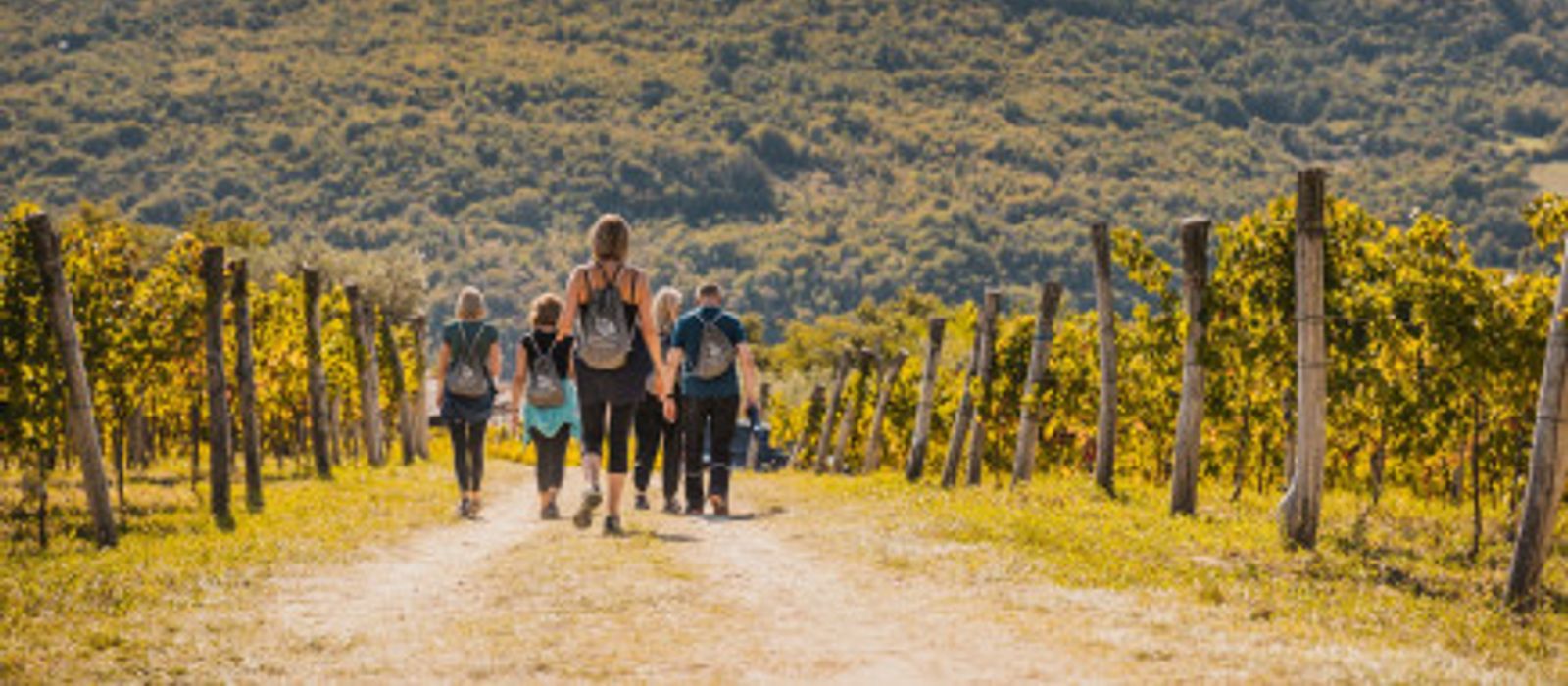 768x290 1774260641 Istria-Wine-Walk
