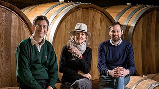 INTRODUÇÃO AOS VINHOS PARDI