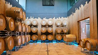 Degustação de vinhos e passeio em Hic Et Nunc