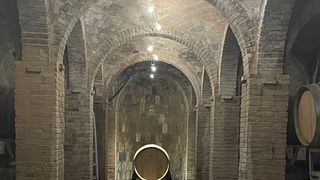 Visita Guiada e Degustação “Wanderlust” | Fattoria Uccelliera