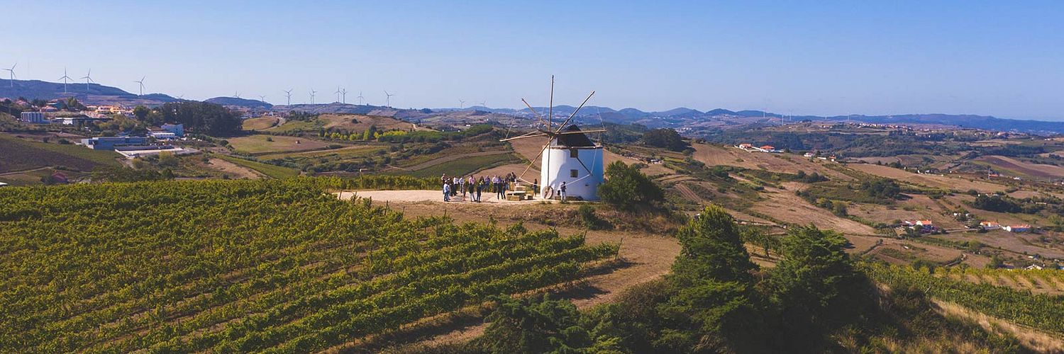 Quinta Da Folgorosa 5 Wt2025