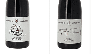 Degustazione di vini e visita al Domaine de Mas Caron