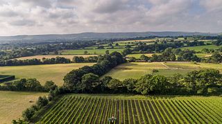 Degustazione di vini e tour presso la Ridgeview Wine Estate
