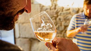 Cata clásica de vinos y visita a la finca | Château de Paraza