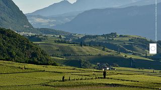 Uma excursão e aula de comparação de vinhos na Tenuta Alois Lageder