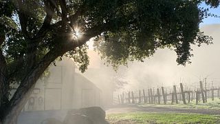 Alta Orsa Winery