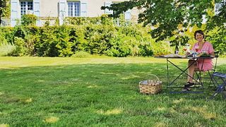 Conviviality Picnic In Vineyards