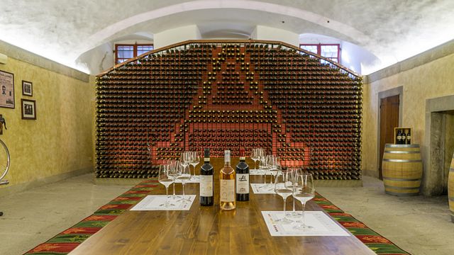 Taste 5 Carmignano Wines with Medici History Stories