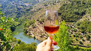 Cata de vinos del valle del Duero