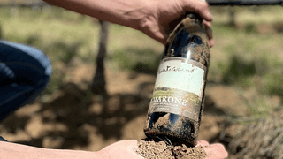 Visite et dégustation à Valpolicella dans une cave à vin 
