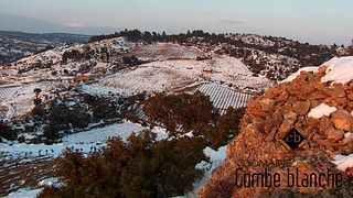 Cata de vinos y visita guiada en Domaine Combe Blanche