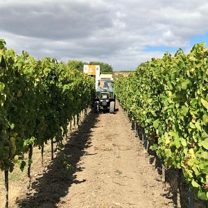 Alójese en un apartamento en Weingut H.Engelhard