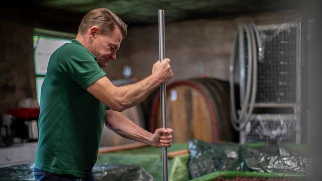 Degustazione di vini e tour presso Weingut Rinke / Rinke Weine