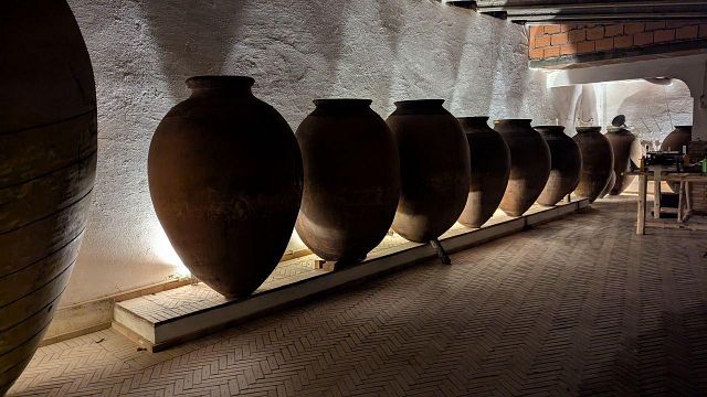 Amphora Wine Tasting Experience at Malápio Winery in Bairrada