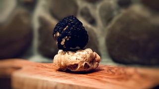 Trüffelsuche und Weinprobe