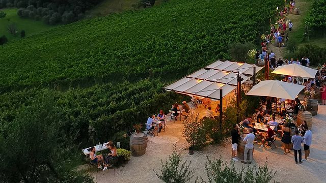 Vignaioli Contra' Soarda