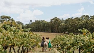 Sample the Hunter Half Day Tour