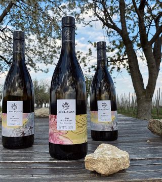 Cata de vinos y visita guiada en Weingut Gesellmann
