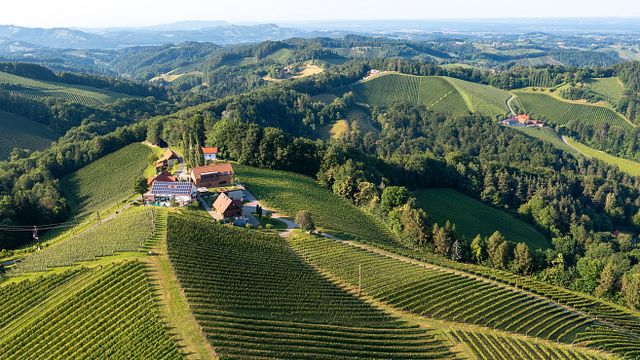 Degustação de vinhos e visita