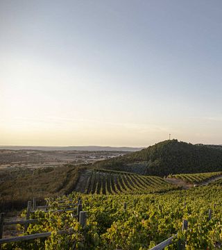 Degustação de Vinhos Alentejanos no Howard's Folly