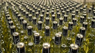 Degustazione e tour di vini a San Martino ColucciVini