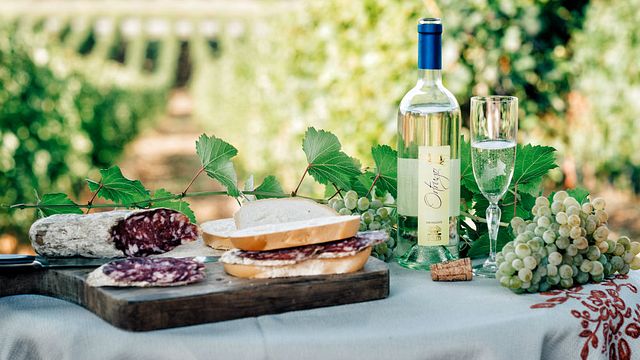 GOÛTONS - VISITE DE DÉGUSTATION DE VIN ET DE GASTRONOMIE EN VÉNÉTIE - SOAVE - BASSANO DEL GRAPPA - ASOLO