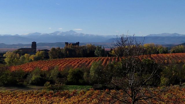 Degustazione di vini e visita alle Bodegas Señorío de Lebanon