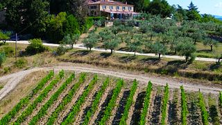 Le Filigare Wine & Country Relais