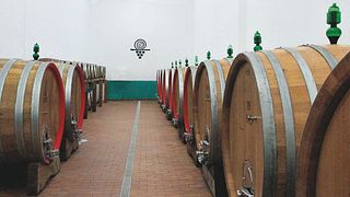 Cata de vinos y visita guiada en Terre di Serrapetrona