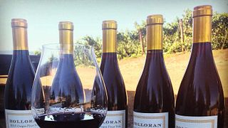 Cata de vinos y visita a Holloran Vineyard Wines