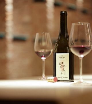 Paquete todo incluido Experiencia de vino