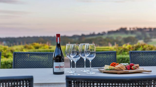 Weinprobe und Tour bei Simon Tolley Wines
