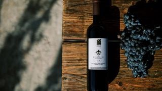 Winery Tour & Wine Tasting at Karimalis Winery in Ikaria