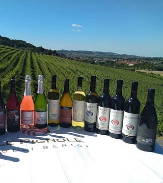 Weinprobe mit vier Weinen und Führung in der Cantina Le Pignole