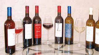 Abendliche Weinprobe und Tour im Domaine Vents du Sud
