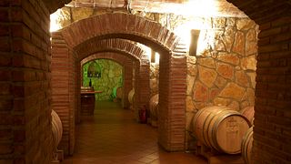Celler Piñol