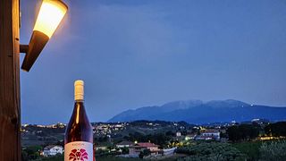 BUZZARONE_vignaiolo in Castelferrato