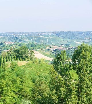 Cantina Fabrizio Battaglino