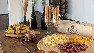 Degustação de vinhos e tour na Azienda Vitivinicola Tola